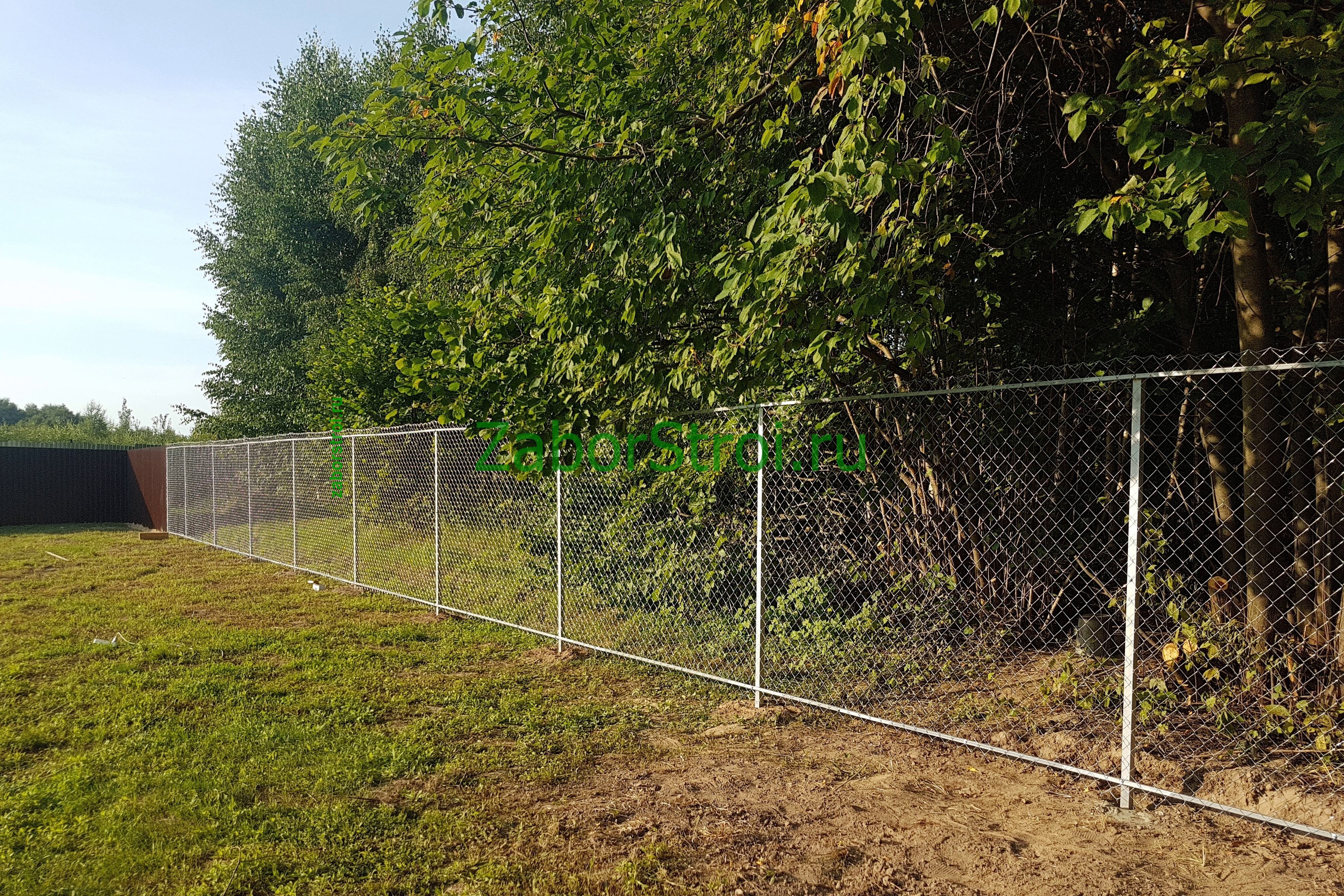 Сетка 1.8 метра. Забор из сетки рабицы. Ограждение из сетки рабицы. Красивый забор из сетки рабицы. Забор с сеткой рабицей.